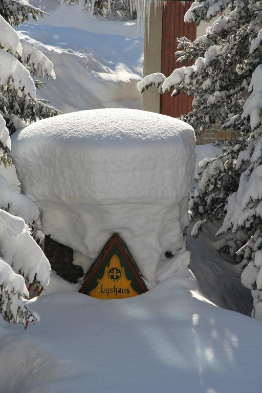 Hotel Lyshaus Gressoney-Saint-Jean Exteriör bild